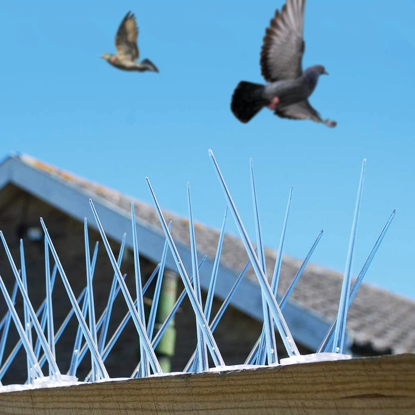 Bird Spikes